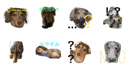 mydog zero