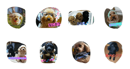 kurumi,rimu,jj