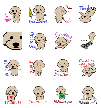 Toy Poodle Named Apolln