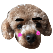 po-ohnosuke