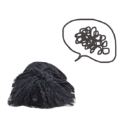 puli