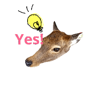 CRAZY&CUTE ANIMALS!