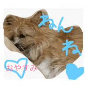 maronnohappylife