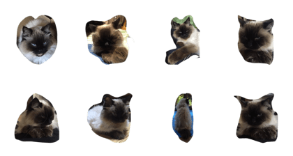 blue eyes cat stamp