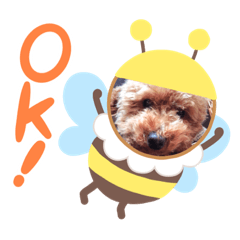 &Dog&Dog&