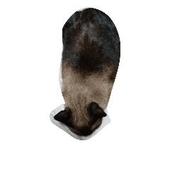 oyorisan