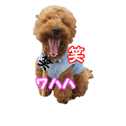 maru-pu