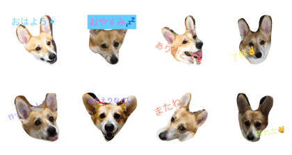 Konegi