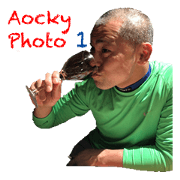 shaved head man aokky photo1