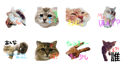 JiJi's feeling