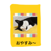 Cats of cats