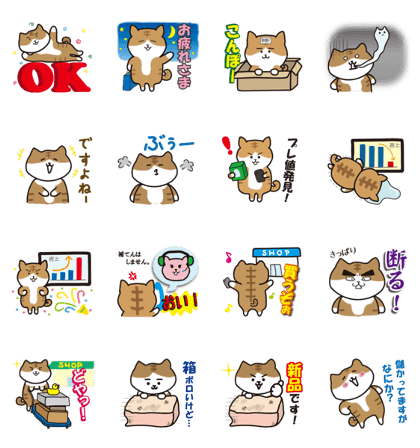 Resale Cat