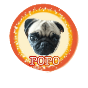 pug-popo