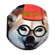deco bowwows endpussycat