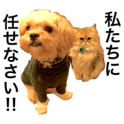 KITTY&pupp