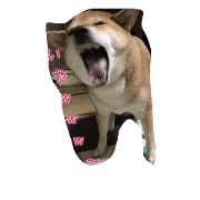 Jack-Hana