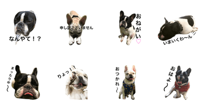 hachimofu NO.2