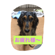 my name is qoo