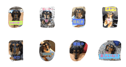 my name is qoo