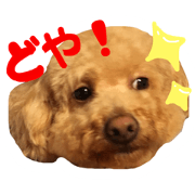marupuuu