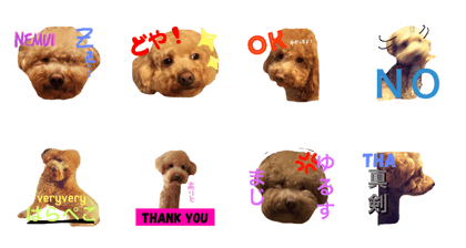 marupuuu