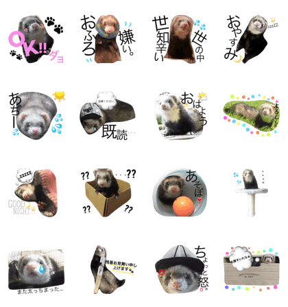 Feelings of Kuniko
