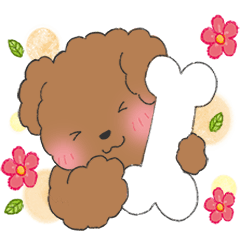 cute  poodle daily life 2