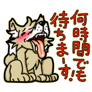 New wolf get lonely easily!!