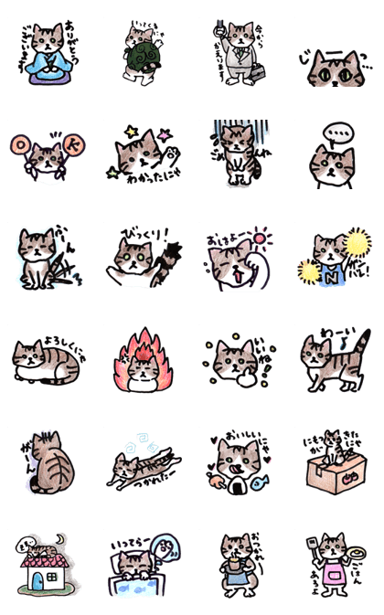 The living of a cat