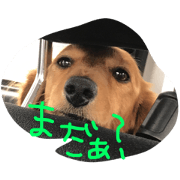 MOZU.SHIZU Life