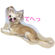 dog with dogs