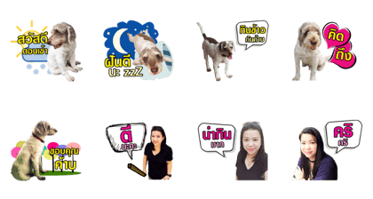 Hu To & Moodang