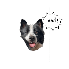 littlepanda_20210625120730