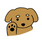 Toy poo Sakura
