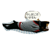 wankororon