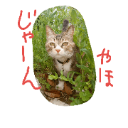 mei*mee