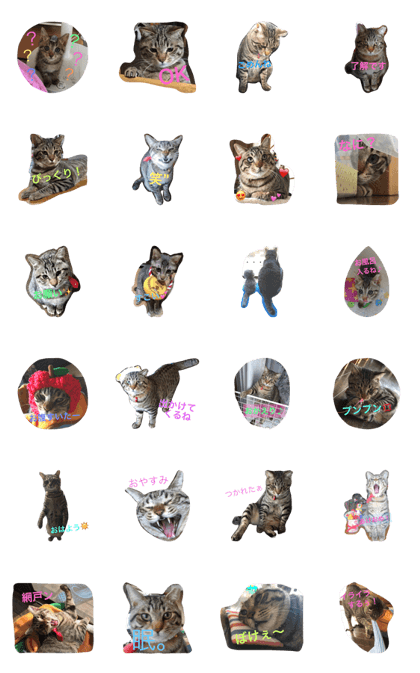 neko_mafin