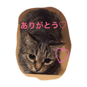 Tora and Kuro