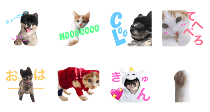 Rio&Sora -Hello-