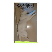yukisutanpu4