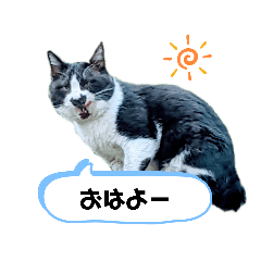 cathachiwre