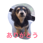 I love mohchi