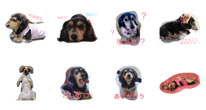 I love mohchi