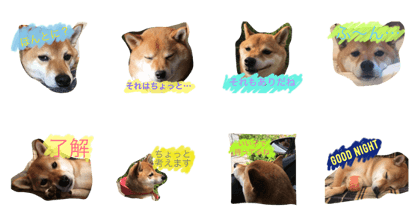 Words of the Kotaro