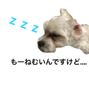 INU no  Pairu