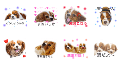 chokokuru2