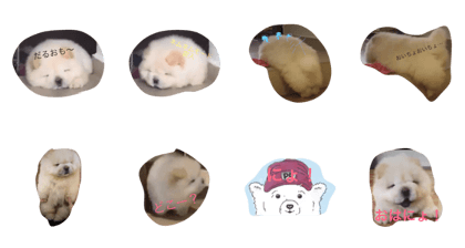 cute potato dog
