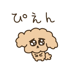 Toy Poodle that looks like about to cry