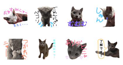 Russian Blue Mami-Chan stamp