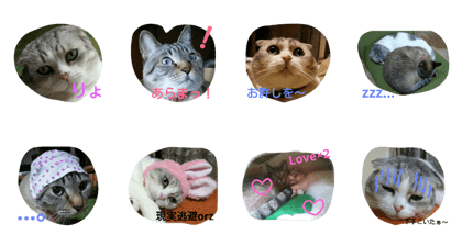 Tama & Riki